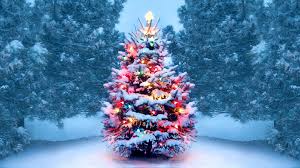 History of Christmas Trees - HISTORY